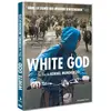 Image de White God - DVD en occasion ou reconditionné