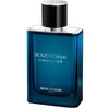 Image de BOUCHERON SINGULIER edp vapo 100 ml
