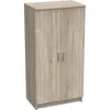 Image de Armoire multi usages - Armoire auxiliaire à 2 portes Range chaussures - L55xP36xH108cm - Décor chêne -DEMEYERE