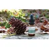 Image de Océopin Huile De Graines Pin Maritime , 15 Ml (Lot 1)
