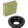 Image de SNR Palier, m252.09
