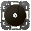 Image de Prise TV étoile blindée LEGRAND Dooxie noir