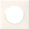 Image de LEGRAND Plaque 1P Dooxie - Blanc