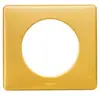 Image de Plaque de finition 1 poste Legrand Céliane 0 988 38 coloris laiton l.90 x P.10 x H.90 mm