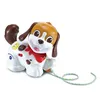 Image de VTECH-TOUTOU 123 PROMENE-MOI