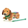 Image de VTECH ELTON MON ROULI XYLOPHONE