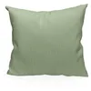 Image de Soleil d'ocre, Velvet Coussin Velours, Vert, 40x40 cm