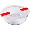 Image de Pyrex 208PH00 Boîte de rangement, verre, transparent, 1 pièce