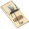 Image de CAUSSADE Tapette à Souris - Socle Bois Certifié FSC