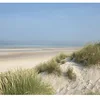 Image de Papier peint panoramique intissé, photographie dans les dunes avec la vue sur le bord de mer, 250 cm X 270 cm