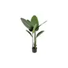 Image de Plante verte 120 cm BIRD