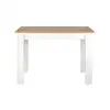 Image de Table fixe 109cm CLOE coloris blanc/chêne