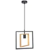 Image de Suspension Métal 120 cm NEWTON coloris oir