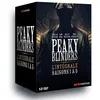 Image de Coffret Peaky Blinders Saisons 1 à 5 DVD en occasion ou reconditionné