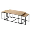 Image de Casâme Calicosy Lot de 3 Tables Basses Gigognes Lenny Style Industriel