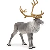 Image de Papo - Figurine Renne - Jouet Imaginatif pour Enfants dès 3 Ans - 12,5 x 7,5 x 13 cm - Animal Arctique Réaliste - Peint à la Main - Durable - Collection Vie Sauvage - 50117