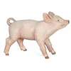 Image de Papo- Cochon LA Vie A LA Ferme Animaux Figurine, 51148, Multicolore