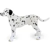 Image de Papo - 54020 - Figurine - Dalmatien