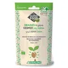 Image de Brocoli calabrais - Graines à germer bio - 100g