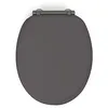 Image de abattant wc samba mdf carbone déclipsable soft close