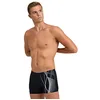 Image de Arena Short de Bain Branch pour Homme