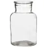 Image de GRAINE CREATIVE Vase Médicinal en Verre Diam 7 cm H10 cm