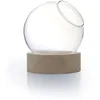 Image de GRAINE CREATIVE Vase Globe avec Socle en Bois Ø13cm