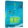 Image de The Reef : Stalked DVD en occasion ou reconditionné
