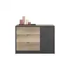 Image de Commode 1 porte + 3 tiroirs TORONTO coloris imitation chêne authentic et steam black