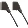 Image de Câble péritel LISTO Standard 1M50