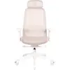 Image de Chaise gaming SKILLKORP C15 Ergo Beige Progress