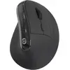 Image de Souris sans fil ESSENTIELB Ergo Sans fil