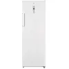 Image de Congélateur armoire ESSENTIELB ECAV175-60hib1