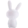 Image de Enceinte nomade LUMIN'US SPEAKER LUMINEUX BT