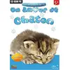 Image de Joue Avec un Amour de Chaton en occasion ou reconditionné