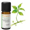 Image de Gaulthérie Couchée Biologique huile essentielle Florame
