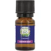 Image de SO'BiO étic - Huile essentielle géranium rosat Bio - Aroma - Flacon de 10 ml