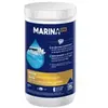 Image de Brome pour spa en mini galet de 20G Marina 1Kg