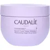 Image de Caudalie Vinotherapist Replenishing Vegan Body Butter 250 ml