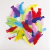 Image de P'TIT CLOWN - 14515 - Lot de 50 Plumes Colorées 3g - Couleurs Aléatoires - Accessoire de Décoration pour Carnaval, Anniversaire, DIY, Loisirs Créatifs, Fête Costumée, Spectacle - 5x12 cm