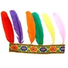Image de Bandeau indien 6 plumes