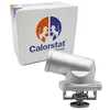 Image de Calorstat TH6171.92J Thermostat d'eau