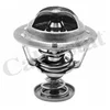 Image de COLORSTAT TH6295.71J TERMOST.Renault