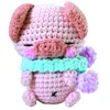 Image de Kit Crochet Amigurumi - Poco le Cochon