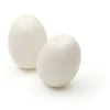 Image de GRAINE CREATIVE Oeuf Plastique Blanc ht 60 Lot de 25 pièces