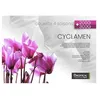 Image de BIOTEX Couette Cyclamen 240X220CM