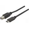 Image de CONNECT 1 m USB 2.0 B/C Cordon   Noir