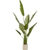 Image de PLT ARTI LORA H.200