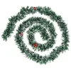 Image de Feeric Lights et Christmas - Gdn Verte 75x6x2m Baie Bout BL