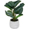 Image de Atmosphera - Maranta Artificiel - Pot Ciment H45 cm